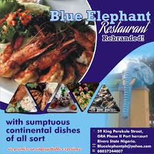 Blue Elephant